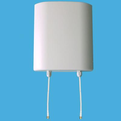 China 2.4G 2x14dBi Mimo Antenna 2.4 GHz WLAN wifi antenna for sale