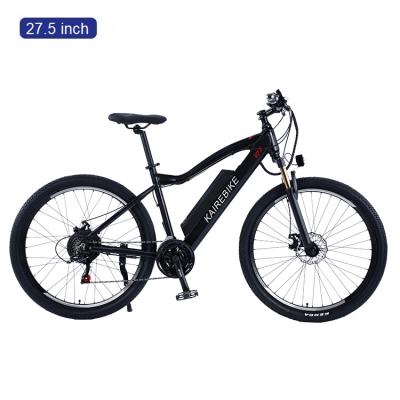 China 4 Inch Tire 48v 500w Steel Hot Selling Fat Bike 21 Speed ​​E Electric Bicycle à venda