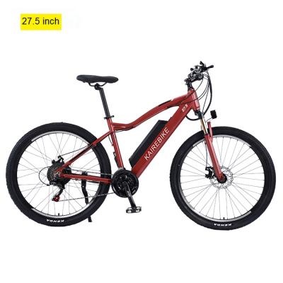 China 48v 500w lithium battery steel disc brake e bicycle large volume electric bike en venta