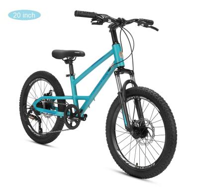 China Good Quality Steel Forever 20 Inch Different Color Children's Mountain Bike Children's Bicycle for sale