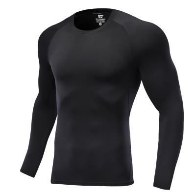 China 2021 Summer Breathable Wholesale Gym Sports Fitted Sweatshirts And Slim Fit Exercise Shirt Customed High Quality for sale