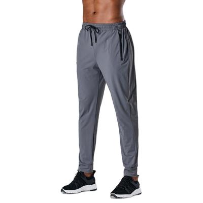 China Factory Direct Wholesale Men's Gym Sportswear Sports Joggers Anti-Wrinkle Custom Joggers Pants for sale