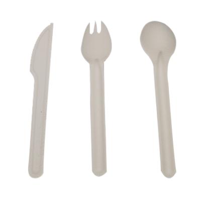 China Simple Modern Biodegradable China Bagasse Fork Spoon Camping Disposable Knife And Tableware for sale