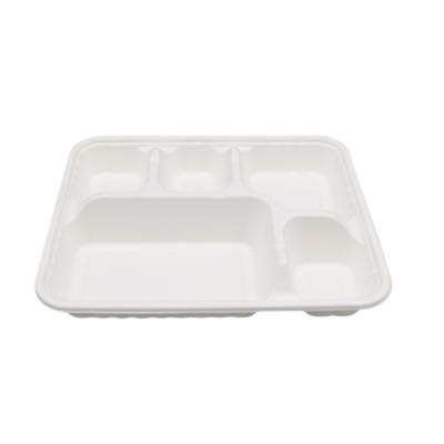 China 5 Compartments Disposable Disposable Sugarcane Bagasse Pulp Dishes Tray Food Container With Lids for sale