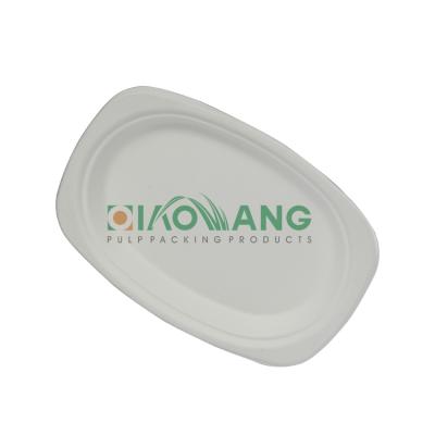 China Bagasse Pulp Disposable Tableware 100% Compostable Eco - Friendly Support Customization for sale