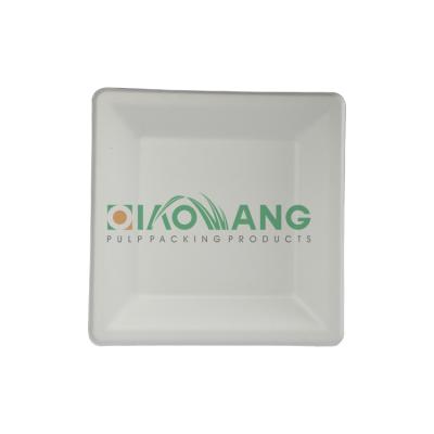 China Wholesale Custom Degradable Disposable Sugarcane Pulp Disposable Square Dinner Dish for sale