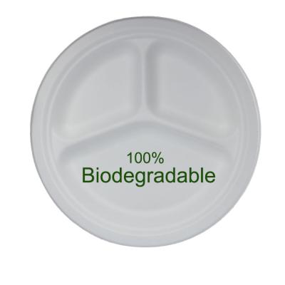 China Eco Disposable Biodegradable Bagasse Party Disposable Dish 10