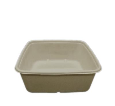 China Modern Cheap Custom Made Biodegradable Meat Supermarket Compotable Sugar Cane Bagasse Pulp Square Tray for sale