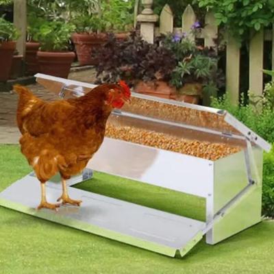 China Automatic Farms Pedal Chicken Feeder For Poultry Chickens for sale