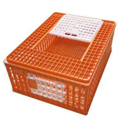 China 2022 High Quality Durable Chicken Birds Multicolor Poultry Crate Three Door Transport Cages for sale