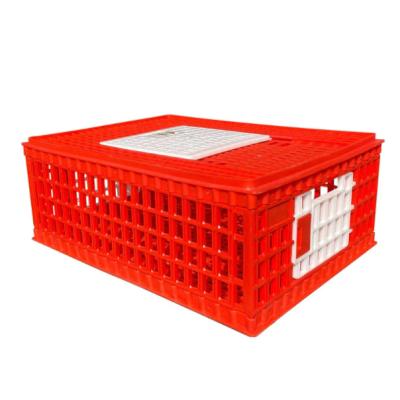 China Plastic Farms Chicken Used Poultry Carrier Crates Poultry Transport Cages for sale