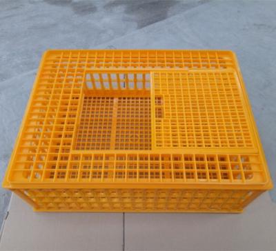 China High Quality Plastic Farms Poultry Transport Crate for sale