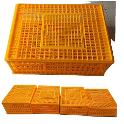 China Farms Plastic Poultry Transport Crate, Chicken Transport Crates, Plastic Folding Crate for sale