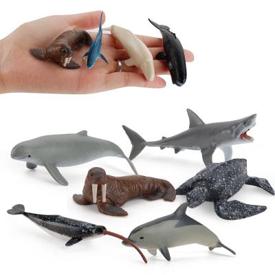 China New Arrival 10cm Mini Table Decoration Toys Children's Toys Realistic Sea Shark PVC Figures Animal Toys for sale