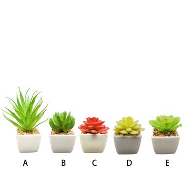 China Home Office Shelf Decoration Artificial Succulent Plant White Plastic Potted Succulent for sale