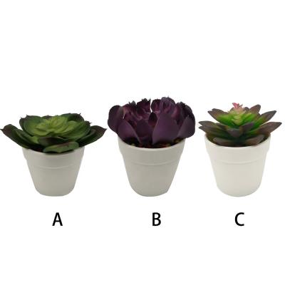 China High Quality White Plastic Potted Succulent Home Office Shelf Decoration Plant Artificial Succulent for sale