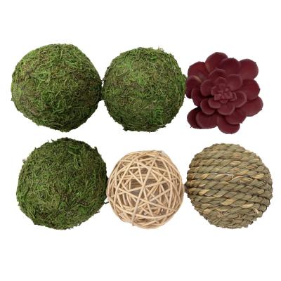 China Indoor Traditional Preserved Moss Ball Rattan Ball Grass Ball Home Decor for sale