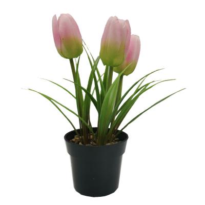 China Home Ministry High Quality Cheap Artificial Potted Shelf Decoration Tulip Decoration for sale