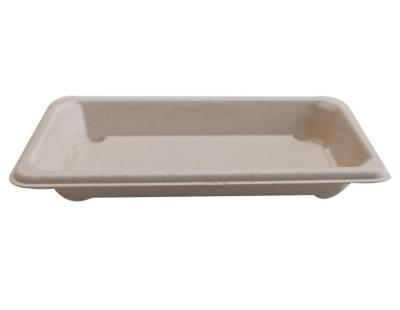 China water & SSB 181 Oil Resistance Bagasse Food Tray Sugar Cane Bagasse Fruit Tray Rectangular Meat Tray for sale