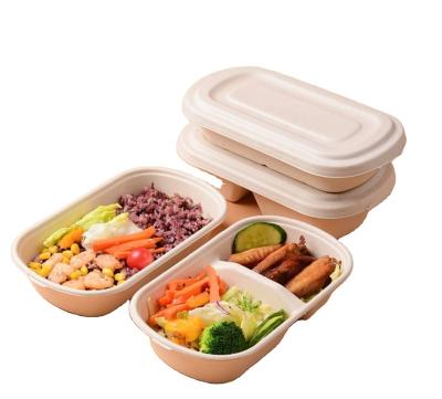 China water & SQS839 Oil Resistance Food Container Product And 450~1200ml Capacity Bento Lunch Box for sale