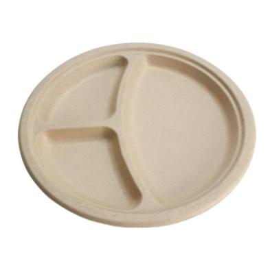 China water & SPR12 bio oil resistance degradable sugar cane bagasse square dish 8 inch biodegradable disposable placa for sale