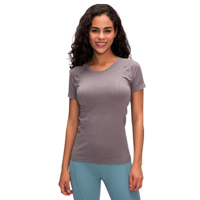 China Breathable Round Neck Women Seamless Workout Shirts For Women Short Sleeve Plain Stitches Lightweight Gym Yoga Sport Tops Quick Dry for sale