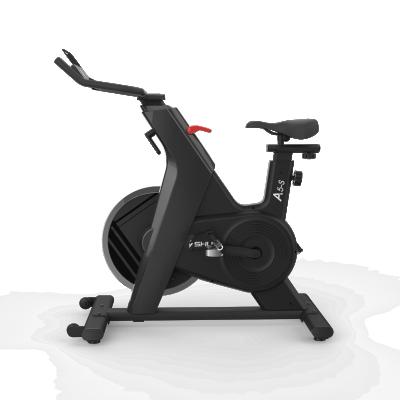 China Universal Shipping & Handling - B599 White Commercial Gym Bike Use 13KG Flywheel Spin Bike for sale