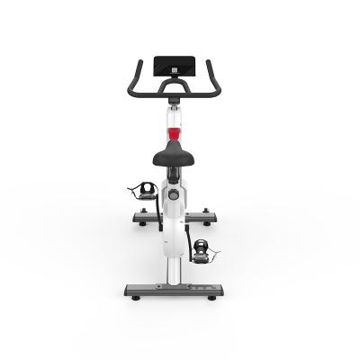 China Home Use Boarding and Handling - B399P Spinning Fit Indoor Bike Commercial Magnetic Spinning Exercise Bike for Exercise for sale