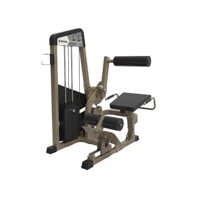 China Universal Shipping and Handling - G5820 Back Extension Muscle Training Machine for sale