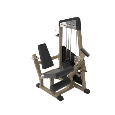 China Universal Shipping and Handling - G5810 Leg Training Extension Muscle Training Machine for sale