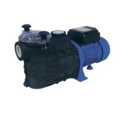 China Family Homes Swimming Pool Electric Water Pump for sale