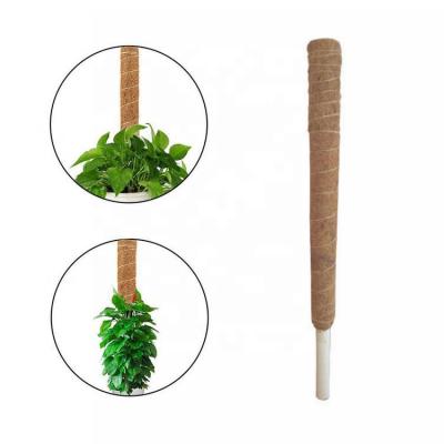 China Durable Coir Coconut Moss Stick Coir Totem Climbing Poles for Plant Support Extension Climbing Indoor Plant Climbers for sale