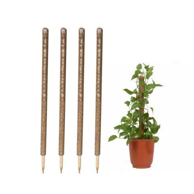 China Durable 90CM Plants Moss Pole For Plant Eco-Friendly Growing Totem for sale