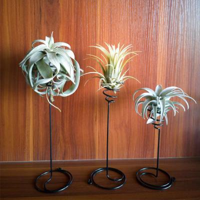 China Modern Air Low Black Pineapple Straight Hair Tall Spiral Flower Stand A Set of 3 for sale