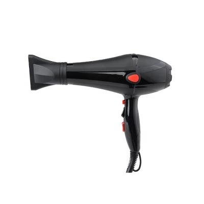 China PRITECH 3 Heat Settings Ionic Hair Dryer Secadores De Pelo Low Noise Low Noise Professional Salon for sale