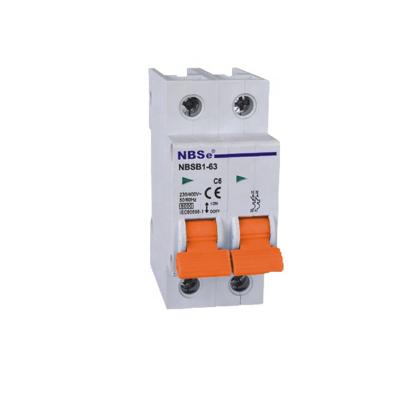 China DZ58-125 2P NID miniature circuit breaker for sale