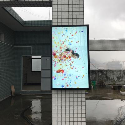 Cina LCD impermeabile fissato al muro 55