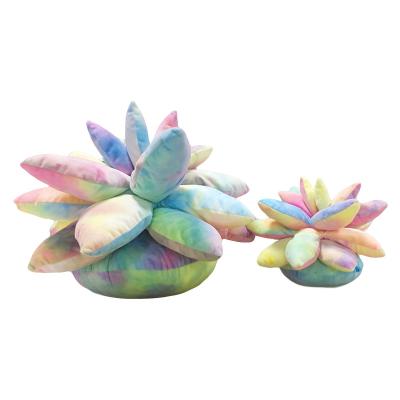 China Birthday Gifts Wholesale Soft Stuffed Succulent Pillow Popular Toy Rainbow Color Succulent Holding Simulation Plush Pillow On Bedroom for sale