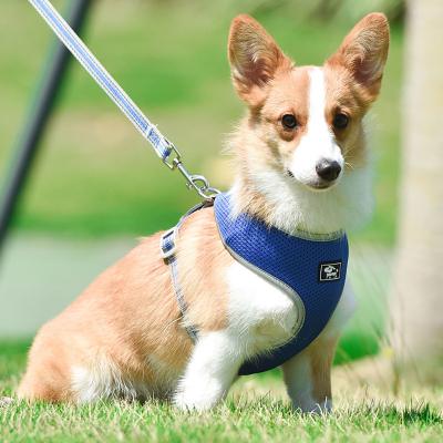 China Viable Adjustable Step in No Pull Mesh Padded Pet Dog Harness and Leash Set for sale