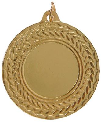 China Europe Blank 25mm Insert Metal Award Gold Medallion With Red/White/Blue Lanyard for sale