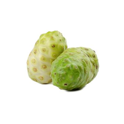 China China Hainan Huayong Noni 500g Package 500g Fresh Fruit Noni Fruit Enzyme Nori Nori Dried Fruit for sale