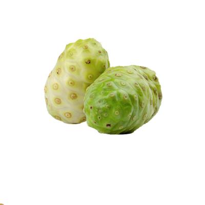 China 500g Fresh Pack Nonidase Nori Hawaii Noni From China Hainan Huayong Noni Fresh Fruit for sale