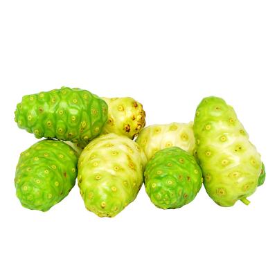 China China Hainan Huayong Noni 500g Package 500g Fresh Fruit Noni Fruit Powder Nuoli Extract Noni Peru for sale