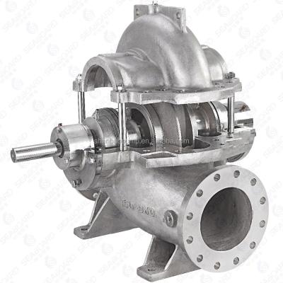 China Industrial Utilities Duplex Pumps Salt Water Pump Sea Water Pumps for sale