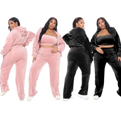 China Viable Custom Women's Autumn Velvet Outdoor Sports Casual Solid Tracksuit 3 Piece Set Velvet Tracksuit For Women Plus Size for sale