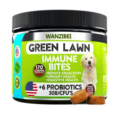 China New stocked health care products for gentle dog chews Dog Probiotics treats for picky eaters improve digestion immunity for dogs for sale