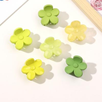 China Hair Set Up Spring And Summer Small Multicolor Flower Shape Frosted And Clear Jelly Green Like Hair Claw For Girls And Women Hair Claw for sale