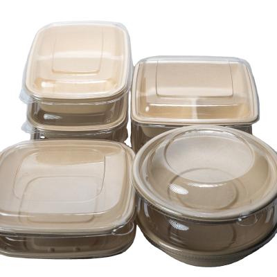 China 100% Disposable Natural Food Composatble Recycable Paper Pulp Food Container With Clear Lid for sale