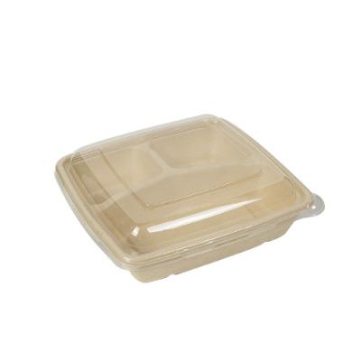 China 100% Recycable Biodegradable Natural Food Paper Pulp Food Container With Clear Lid for sale