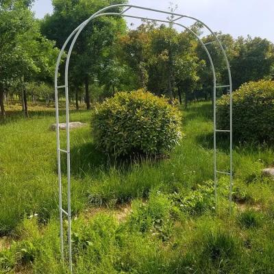 China Factory Price Gold Balloon Arch Wedding Kit Eco-Friendly Garden Climbing Plants Vines Wedding Arch for Baby Shower Ceremony for sale